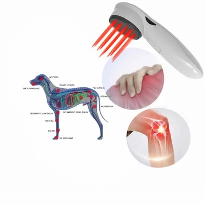 cat laser therapy1 cat laser therapy1