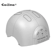 Otak Fotobiomodulasi